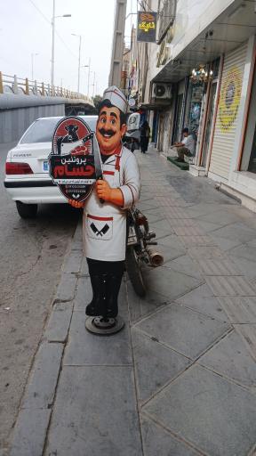 عکس پروتئین حسام
