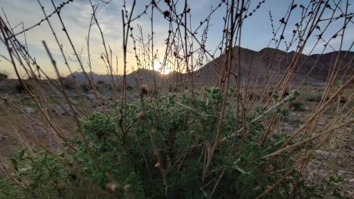 عکس پارک نوربخش