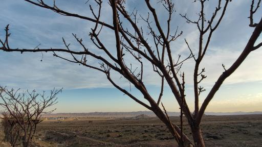 عکس پارک نوربخش