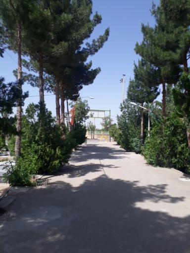 عکس آرامستان شهر بسطام