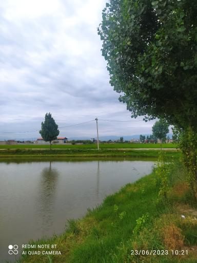 عکس آب بندان موزیرج