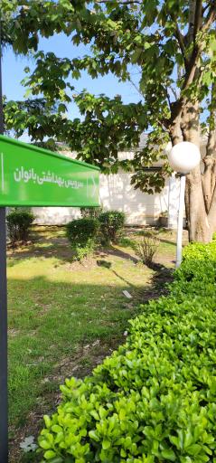 عکس سرویس بهداشتی زنانه 