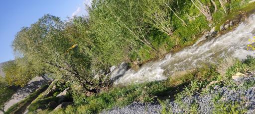 عکس باغ امام زاده کوه