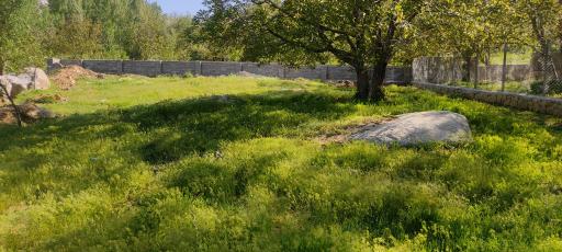 عکس باغ امام زاده کوه