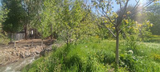 عکس باغ امام زاده کوه