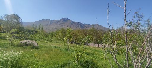 عکس باغ امام زاده کوه