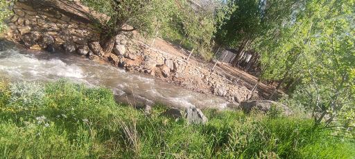 عکس باغ امام زاده کوه