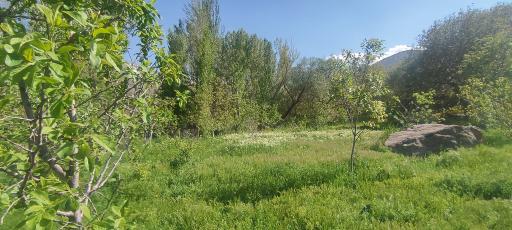 عکس باغ امام زاده کوه