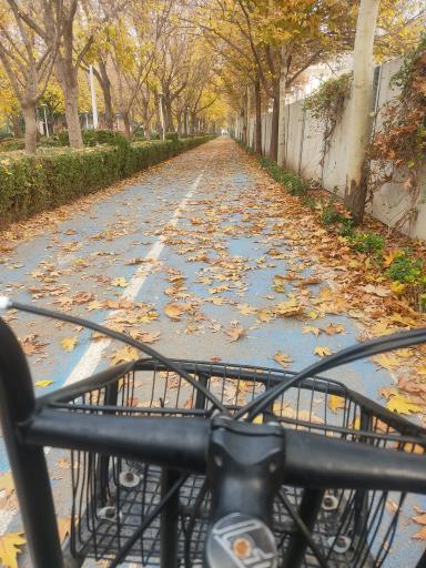 عکس بوستان حجاب