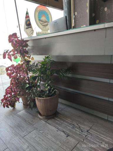 عکس دفتر بیمه ایران