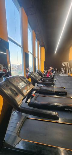 عکس مجموعه ورزشی پوریای ولی دانشگاه شیراز