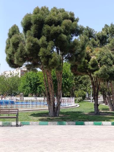 عکس بوستان حجاب