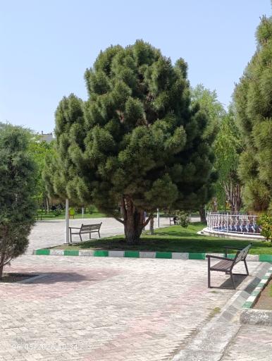 عکس بوستان حجاب