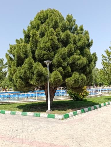 عکس بوستان حجاب