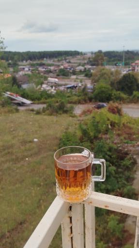 عکس هتل تی‌تی باران 