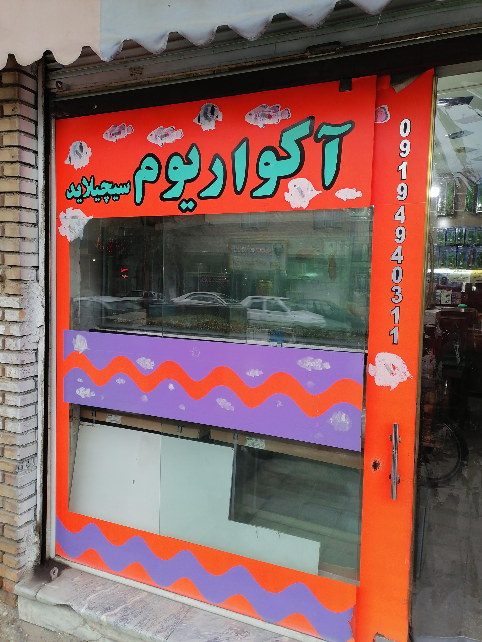 عکس آکواریوم سیچلاید