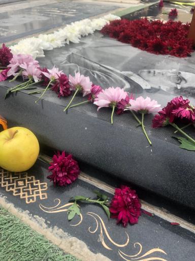 عکس آرامگاه مرتضی پاشایی