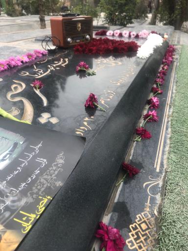 عکس آرامگاه مرتضی پاشایی