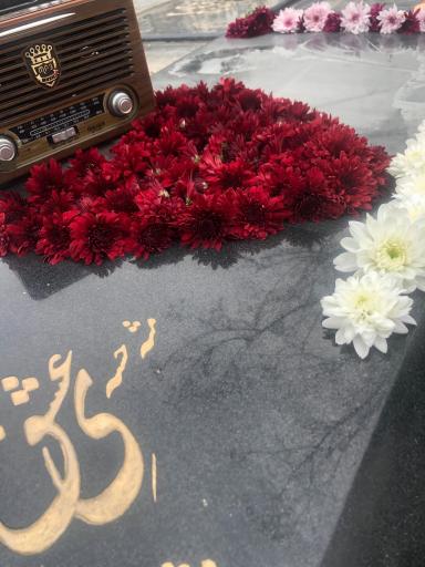 عکس آرامگاه مرتضی پاشایی