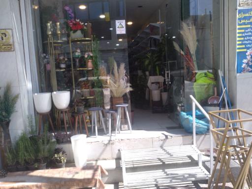 عکس گل سرای نفیس 