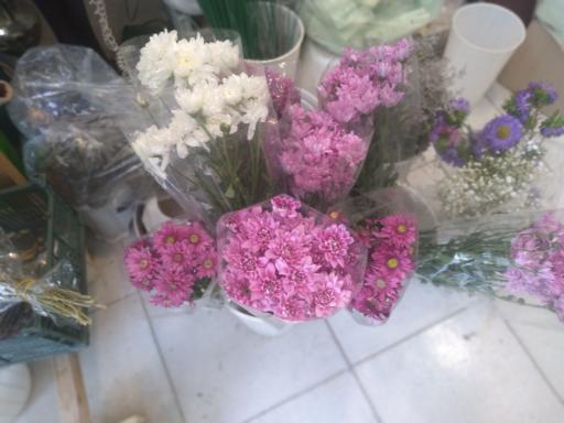 عکس گل سرای نفیس 