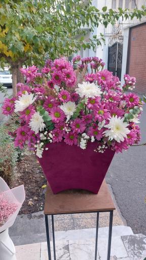 عکس گل فروشی آریا