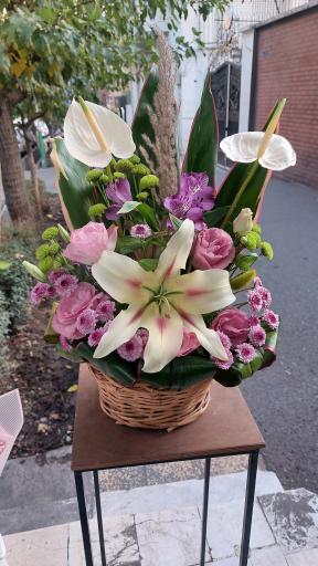 عکس گل فروشی آریا