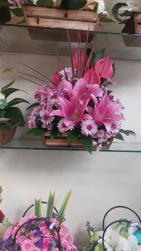 عکس گل فروشی آریا