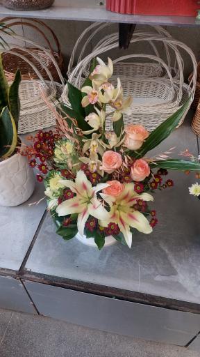 عکس گل فروشی آریا