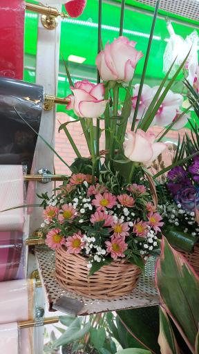 عکس گل فروشی آریا