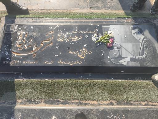 عکس آرامگاه مرتضی پاشایی