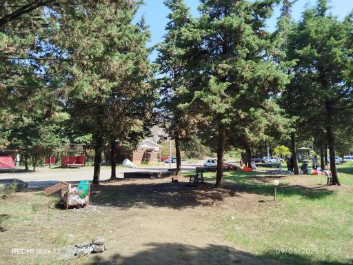 عکس پارک جنگلی کاجستان