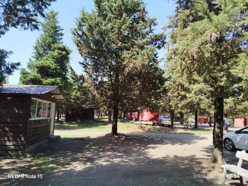 عکس پارک جنگلی کاجستان