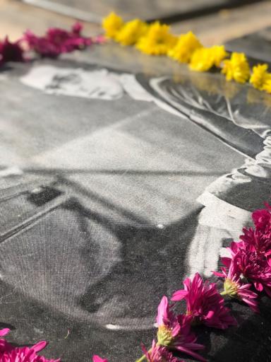 عکس آرامگاه مرتضی پاشایی