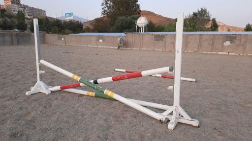 عکس باشگاه سوارکاری سلام