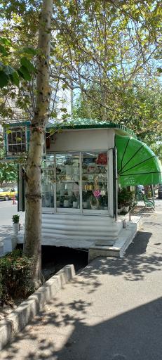 عکس گل فروشی آریا