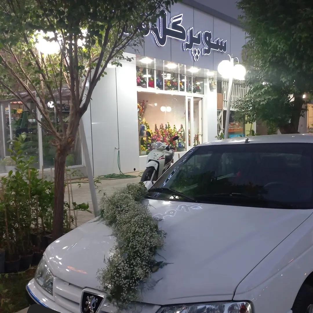 عکس سوپر گل مرکزی میبد