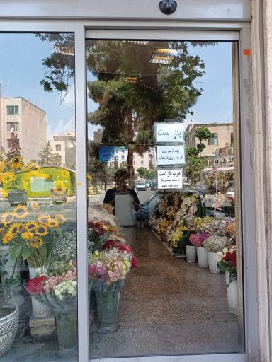 عکس گل فروشی سفیر سبز