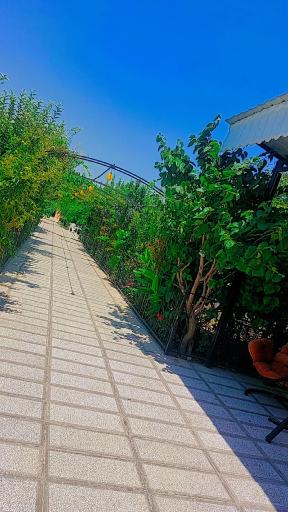 عکس باغسرای زعفرانیه (عادل)