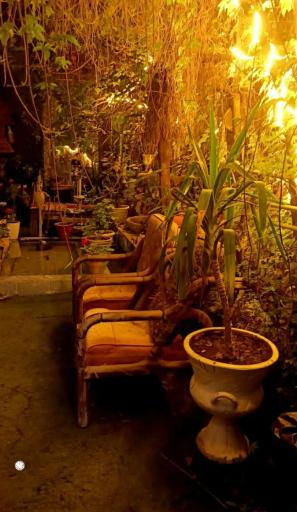  اقامتگاه بومگردی اُشن بوشهر