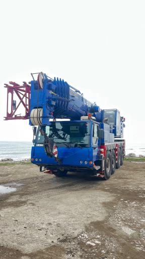 عکس جرثقیل لنگرنشین (سیامک)