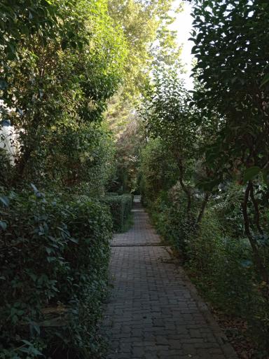 عکس شهرک مسکونی نور