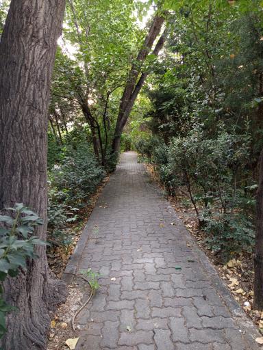 عکس شهرک مسکونی نور