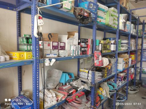 عکس الکتریکی کدخدایی