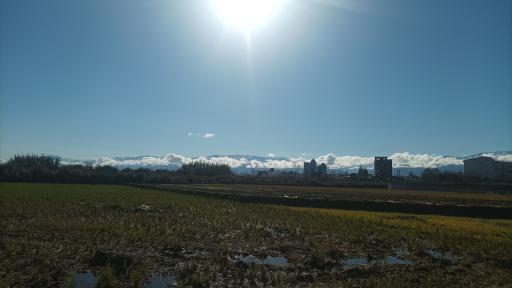 عکس شهرک آریا