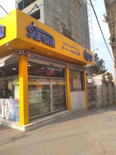 عکس فروشگاه گلستان