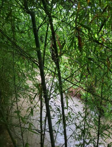 عکس رودخانه کلارستاق