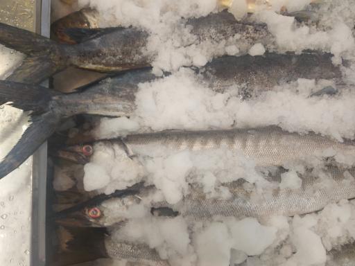 عکس فروشگاه هایپر می