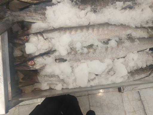 عکس فروشگاه هایپر می