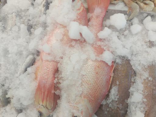 عکس فروشگاه هایپر می